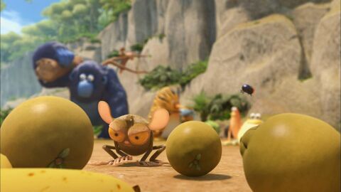 Vignette du programme télé Les as de la jungle à la rescousse