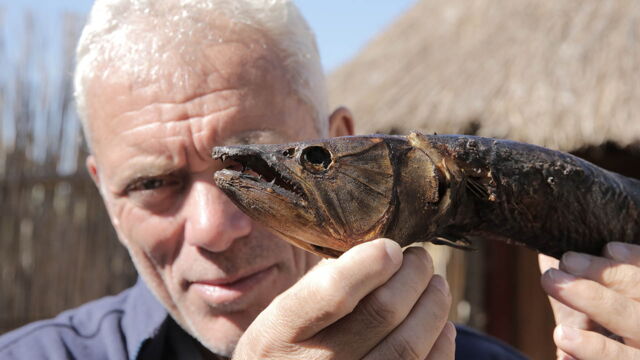 Vignette du programme télé River Monsters