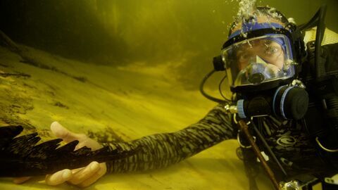 Vignette du programme télé River Monsters