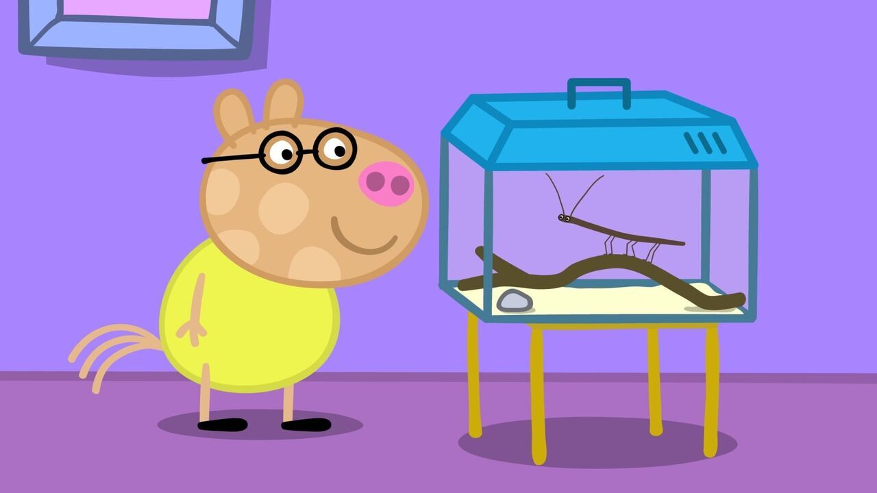 Vignette du programme télé Peppa Pig