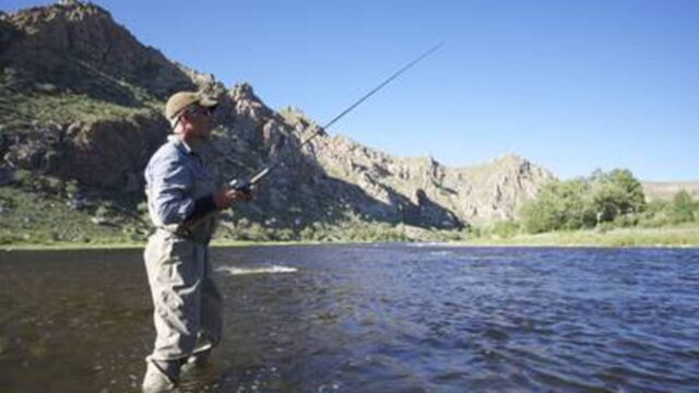 Vignette du programme télé River Monsters