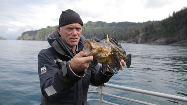 Vignette du programme télé River Monsters