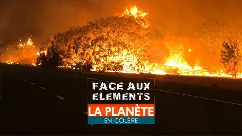 Vignette du programme télé Face aux éléments : la planète en colère