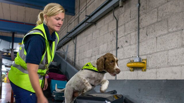 Vignette du programme télé Douanes sous haute surveillance : Irlande