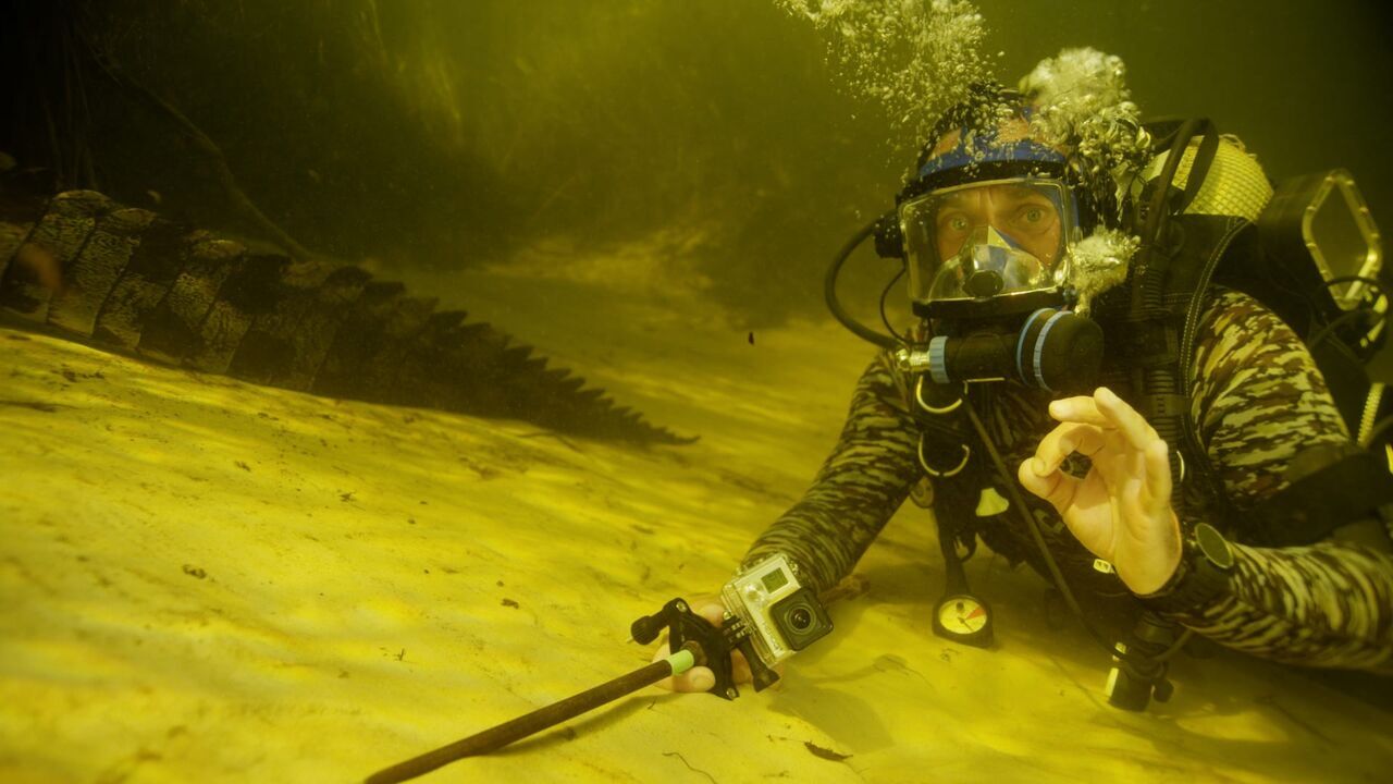 Vignette du programme télé River Monsters