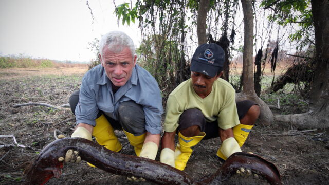 Vignette du programme télé River Monsters