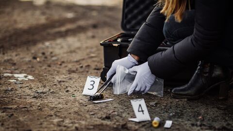 Vignette du programme télé Crimes