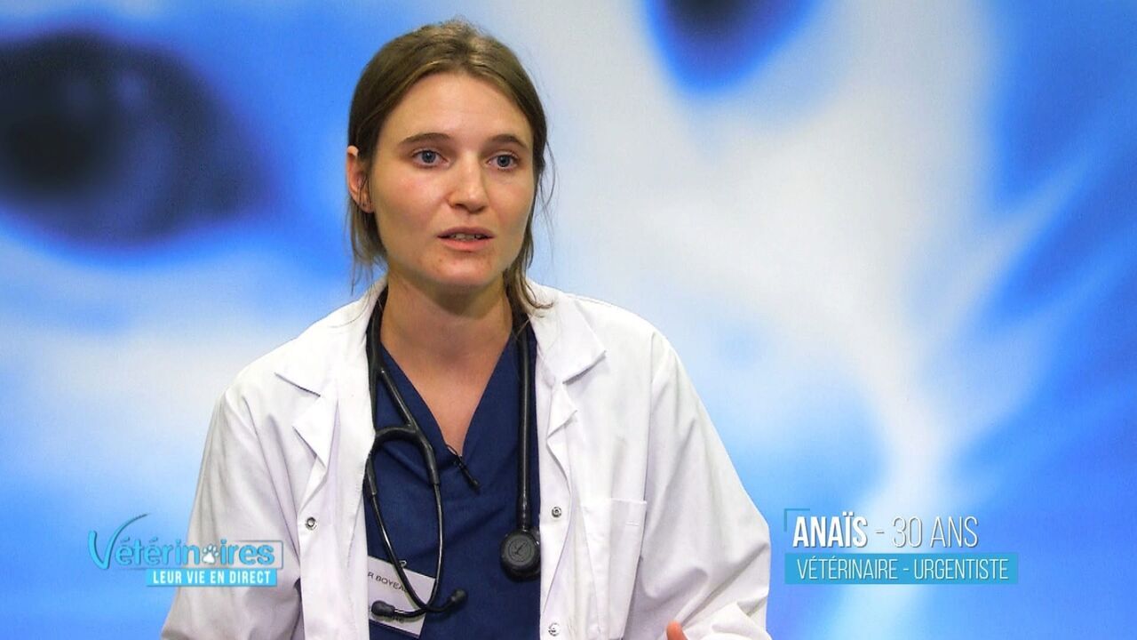 Vignette du programme télé Vétérinaires, leur vie en direct