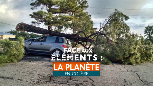 Vignette du programme télé Face aux éléments : la planète en colère