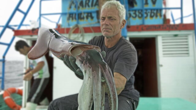 Vignette du programme télé River Monsters