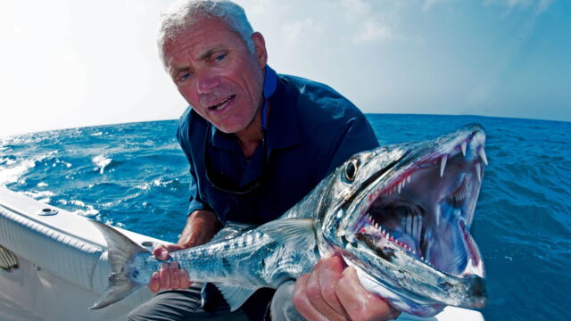 Vignette du programme télé River Monsters