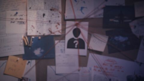Vignette du programme télé Les visages du crime en région