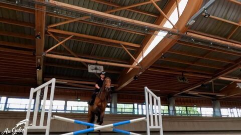 Vignette du programme télé Au galop !