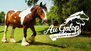 Vignette du programme télé Au galop ! S5 (n°30)