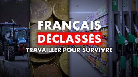 Vignette du programme télé Français déclassés : travailler pour survivre