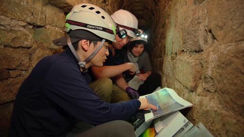 Vignette du programme télé A la recherche des tombes royales mayas