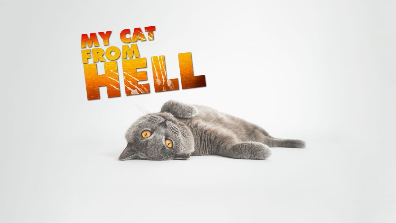 Vignette du programme télé Hell's Cats