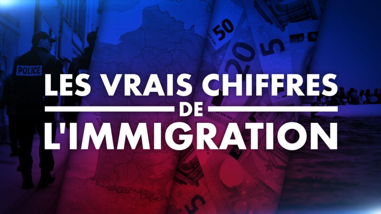 Vignette du programme télé Les vrais chiffres de l'immigration