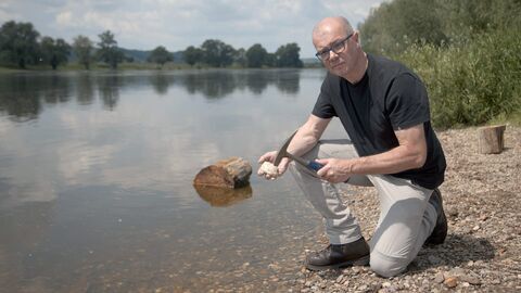 Vignette du programme télé L'Elbe vue du ciel