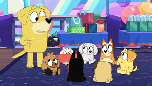 Vignette du programme télé Bluey (Passe le paquet) S3 (13/50)