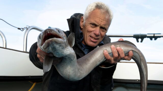Vignette du programme télé River Monsters