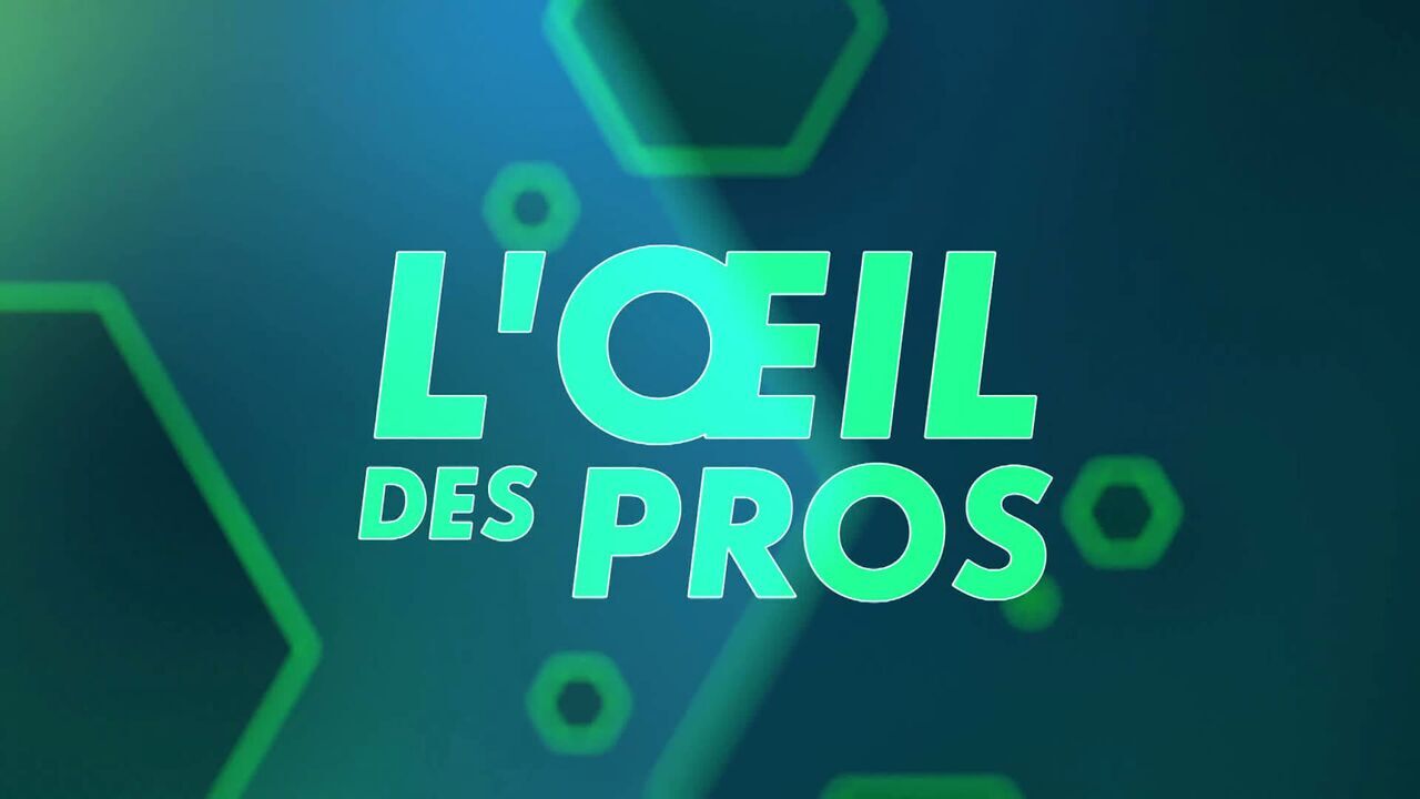 Vignette du programme télé L'oeil des pros