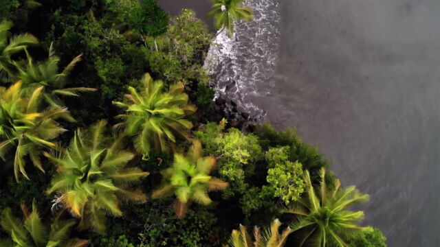 Vignette du programme télé Colombie : Dans le Cauca magique