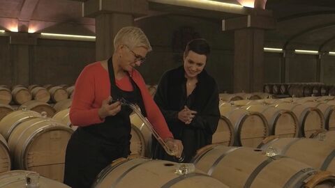 Vignette du programme télé Les trésors des vignobles français