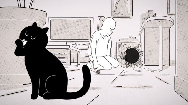 Vignette du programme télé Putain de chat !