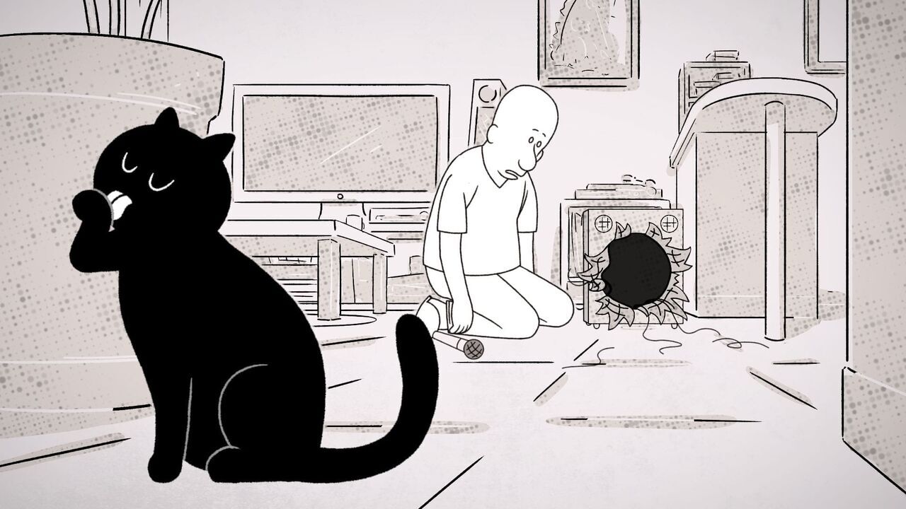 Vignette du programme télé Putain de chat !