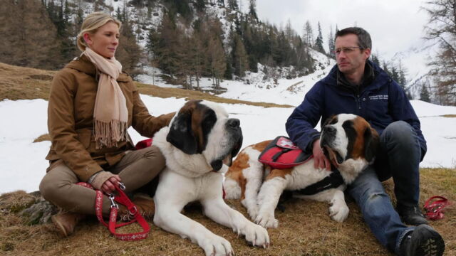 Vignette du programme télé Hélène et les animaux