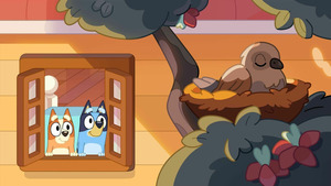 Vignette du programme télé Bluey (La chambre) S3 (1/50)