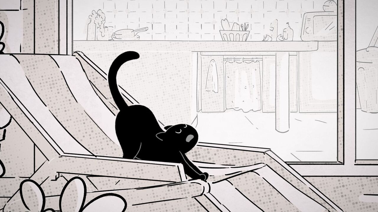 Vignette du programme télé Putain de chat !
