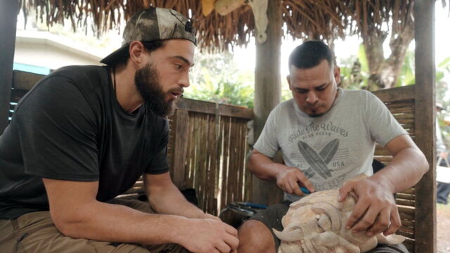 Vignette du programme télé L'enfant de la forêt