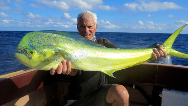 Vignette du programme télé River Monsters