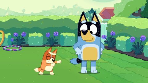 Vignette du programme télé Bluey