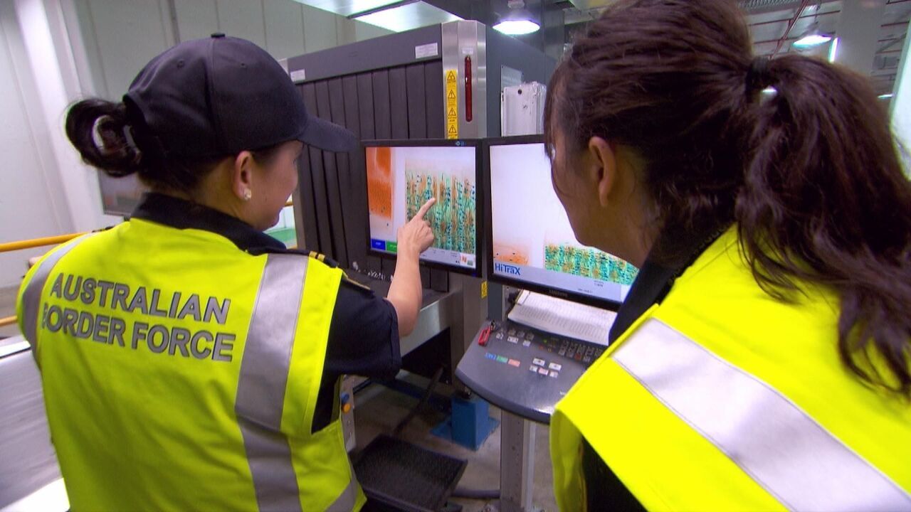 Vignette du programme télé Douanes sous haute surveillance