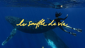 Vignette du programme télé Le souffle de vie