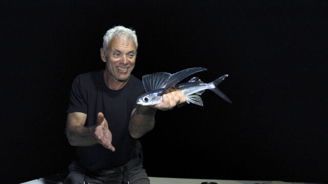 Vignette du programme télé River Monsters