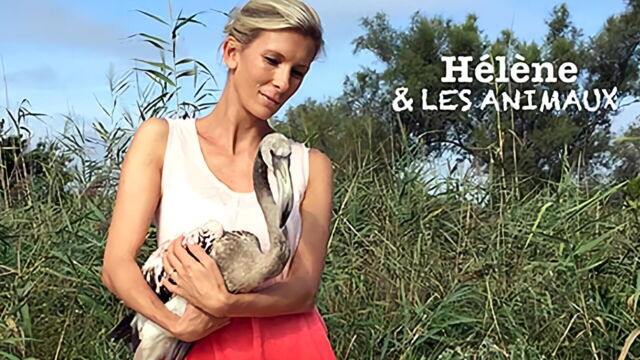 Vignette du programme télé Hélène et les animaux