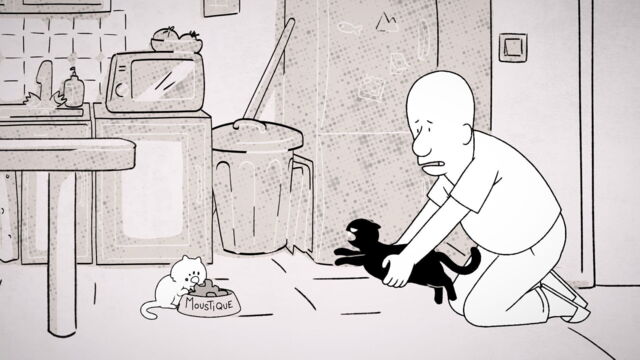 Vignette du programme télé Putain de chat !