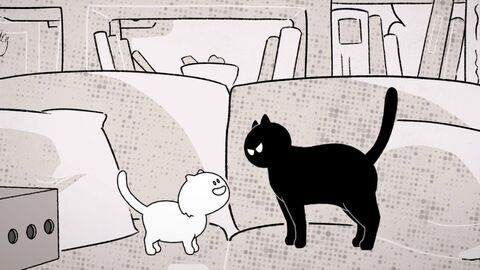 Vignette du programme télé Putain de chat !