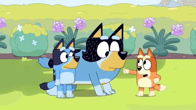 Vignette du programme télé Bluey - Saison 3