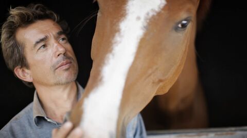 Vignette du programme télé Hélène et les animaux