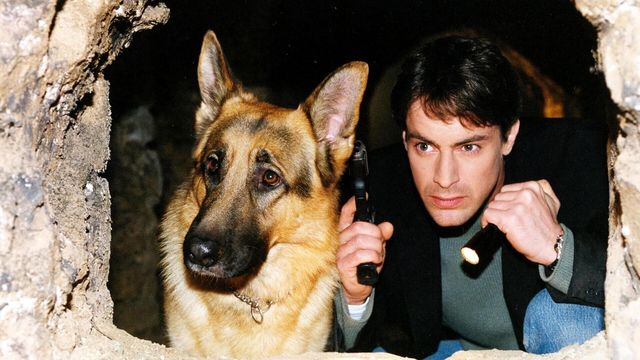 Vignette du programme télé Rex, chien flic - Saison 6