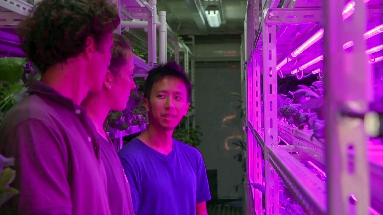 Vignette du programme télé Nomade des mers, les escales de l'innovation