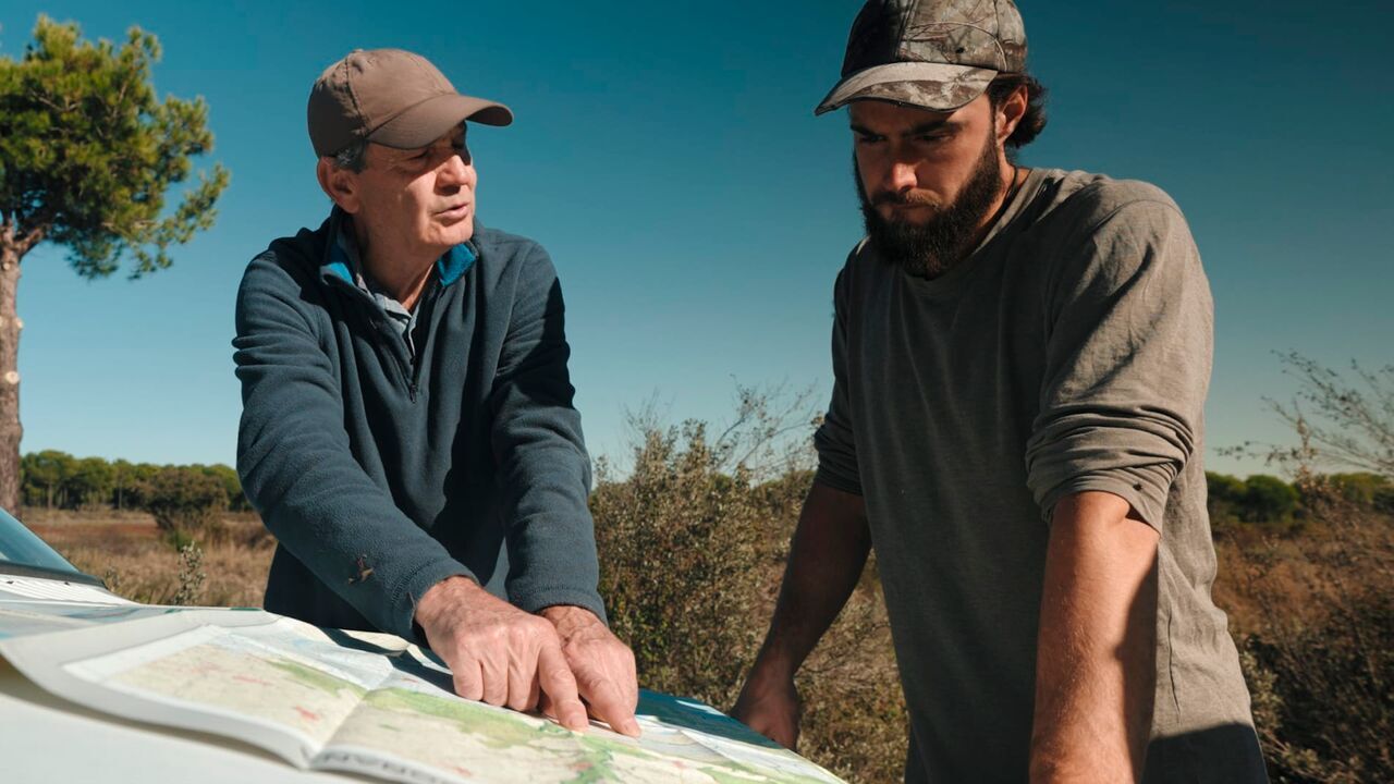 Vignette du programme télé L'enfant de la forêt