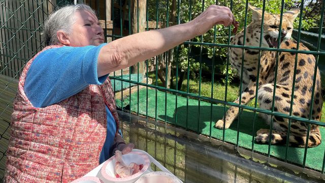 Vignette du programme télé Cohabiter avec des animaux sauvages