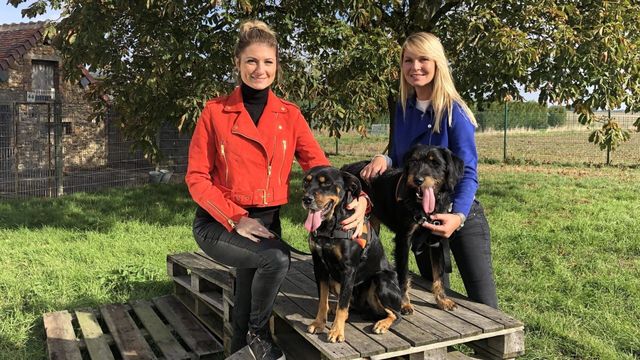 Vignette du programme télé Animaux à adopter : nouvelle famille pour une nouvelle vie - Saison 5