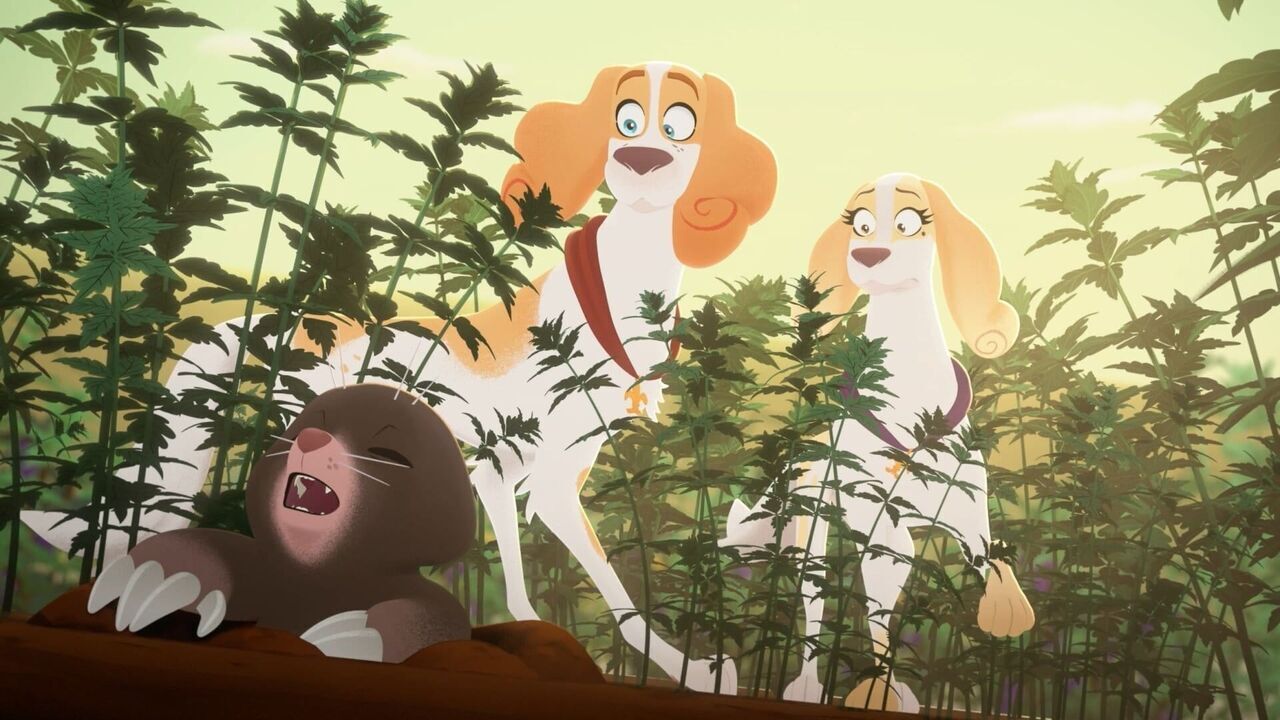 Vignette du programme télé Belfort & Lupin